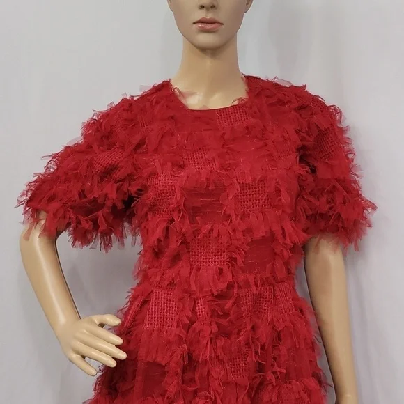 Endless Rose Texture Mesh  Overlay Mini Dress - Picture 7 of 17